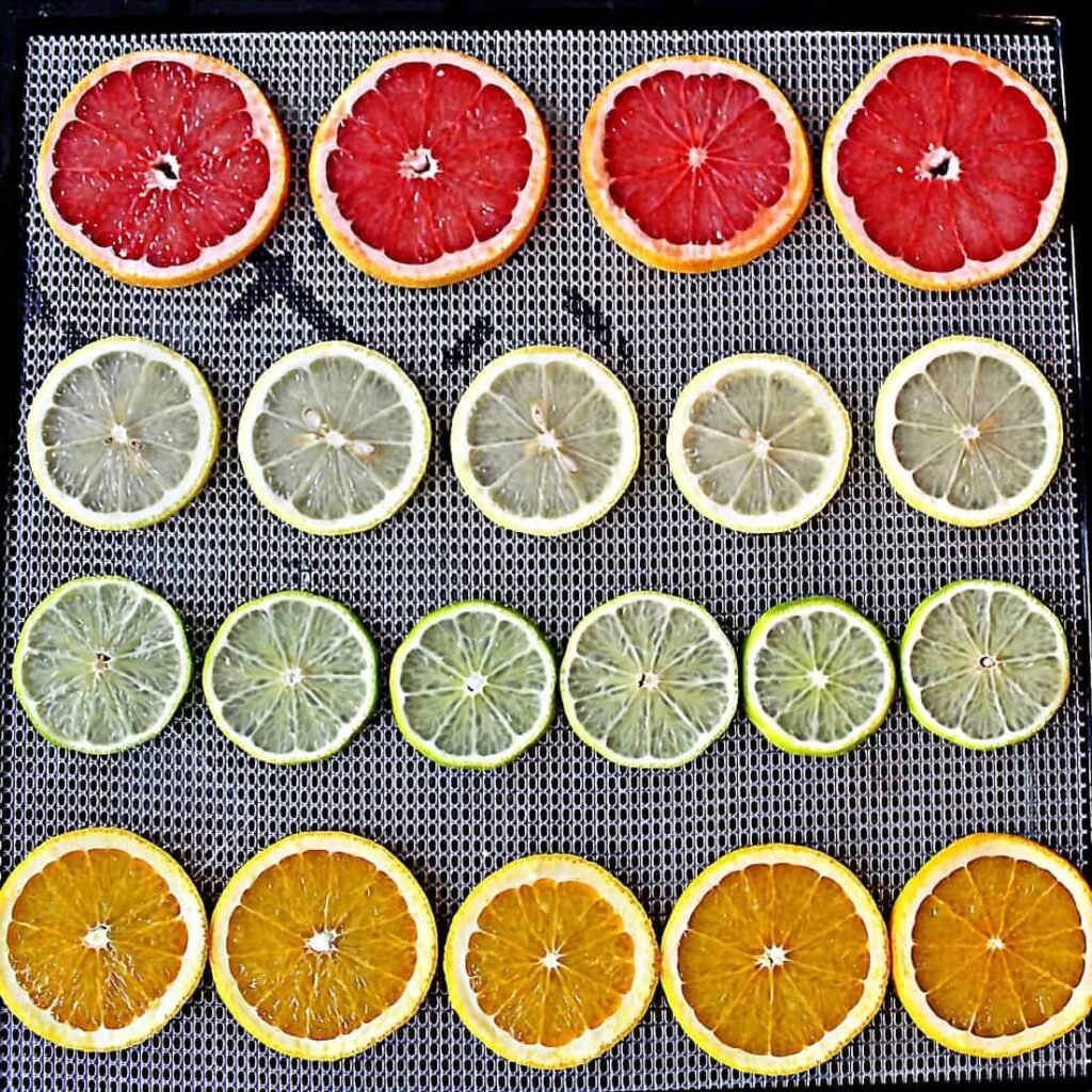 Sliced citrus wheels on a dehydrator tray.