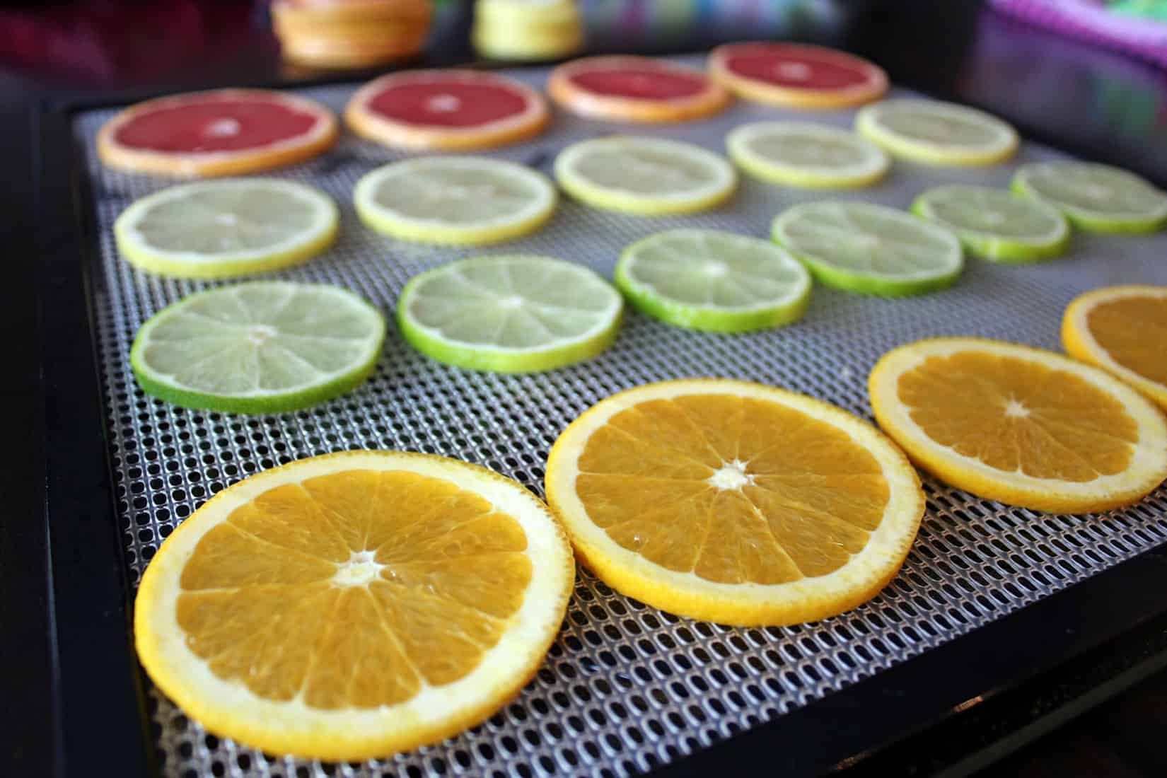 Dehydrated Citrus {Oranges, Grapefruit, Lemons and Limes} crave the good