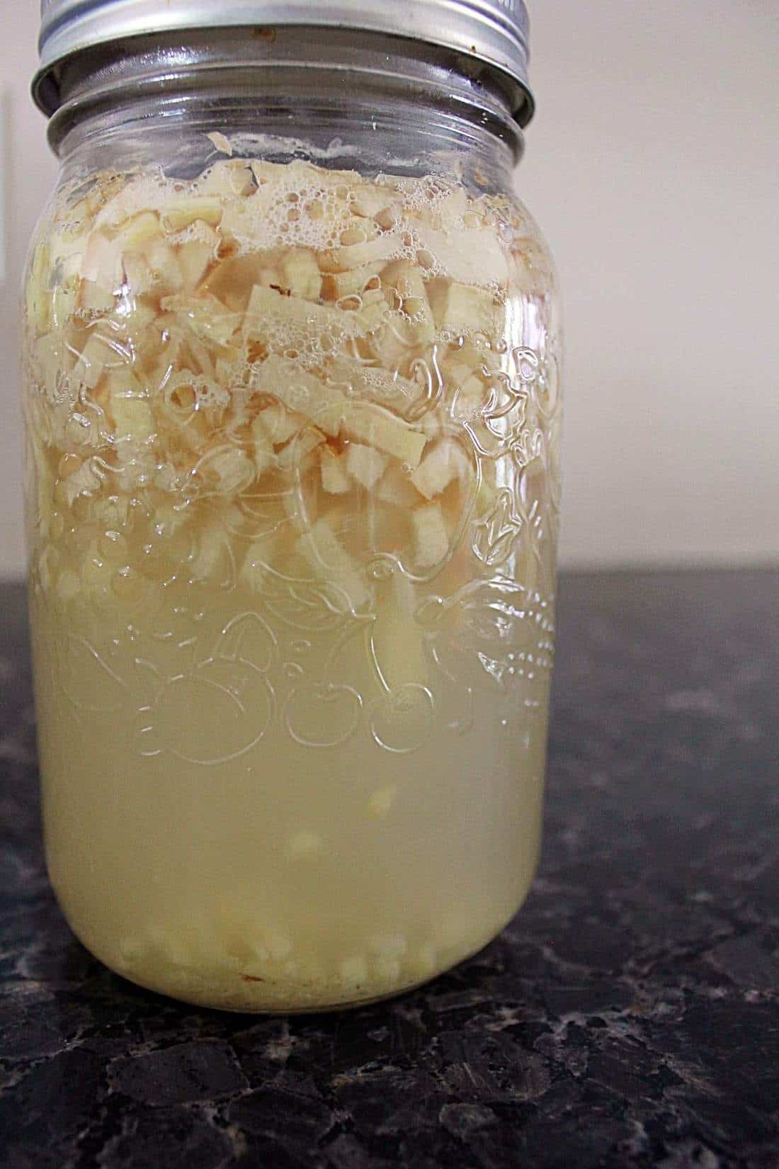 A Ginger Bug What it is, how to use it, and why it's good for you