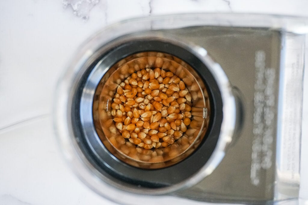 Unpopped popcorn in air popper. 