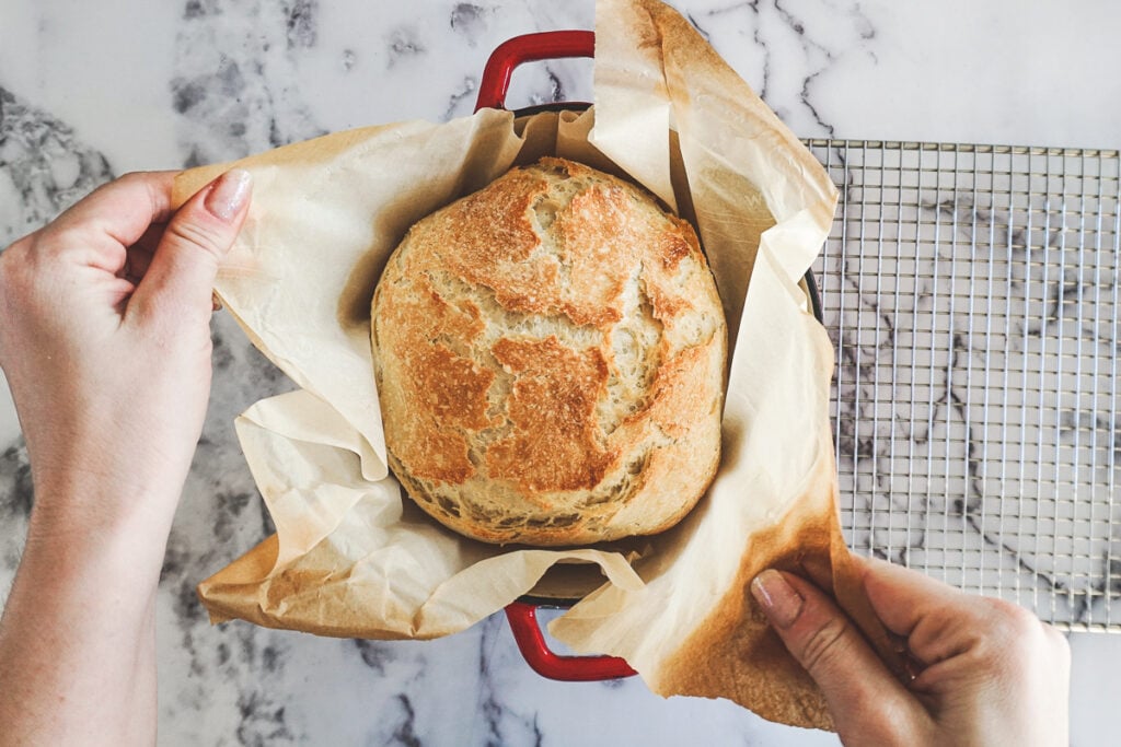 Removing baked bread boule from red cast iron dutch oven.