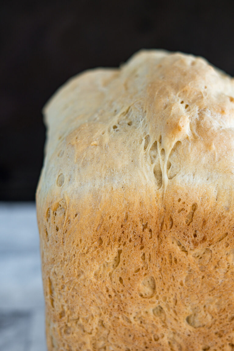 How to Troubleshoot Bread Machine Problems Crave The Good