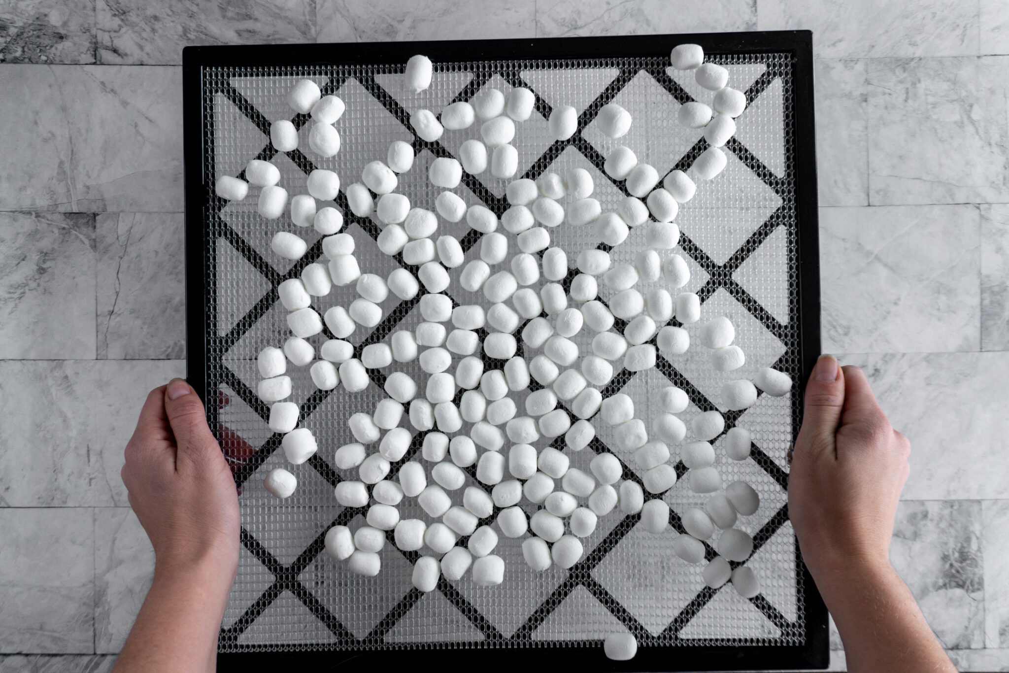 How To Dehydrate Marshmallows {In Dehydrator + Oven} Crave The Good