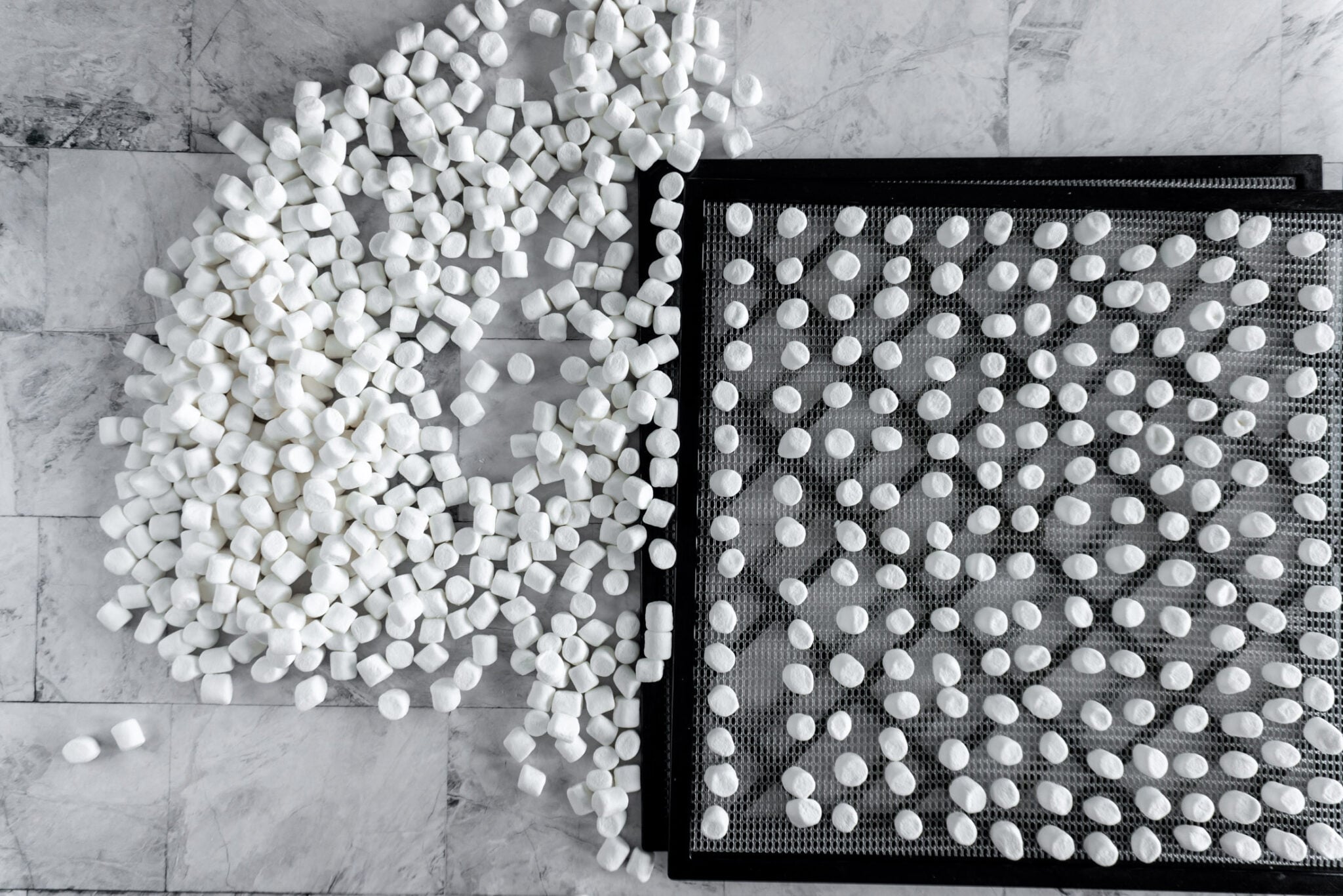 Rows of marshmallows on a dehydrator tray.