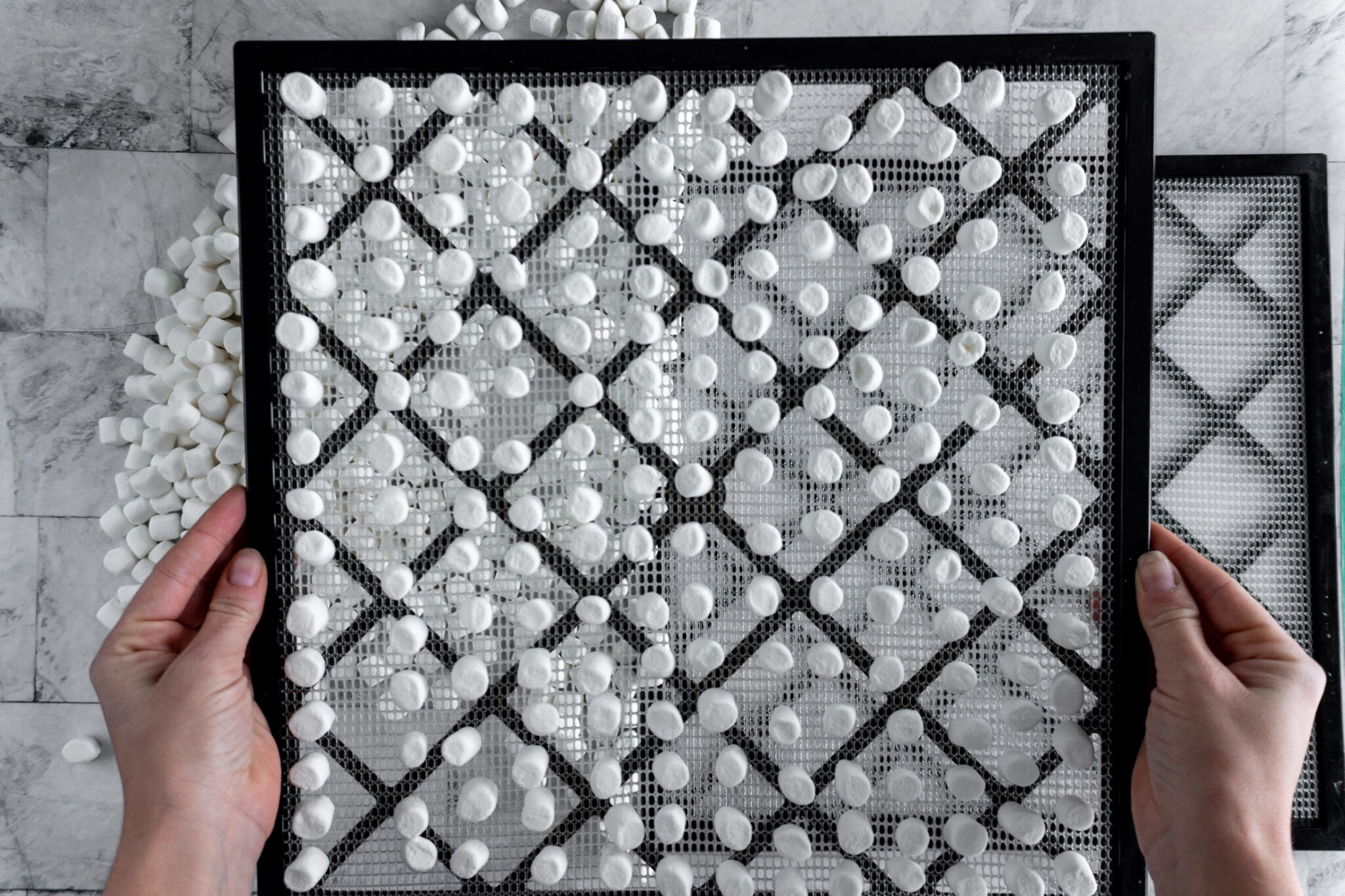 How To Dehydrate Marshmallows {In Dehydrator + Oven} Crave The Good