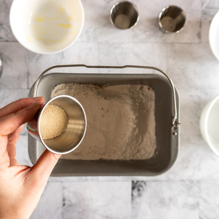 Bread Machine Cheese Bread [Easy, Cheesy, Delicious!] crave the good