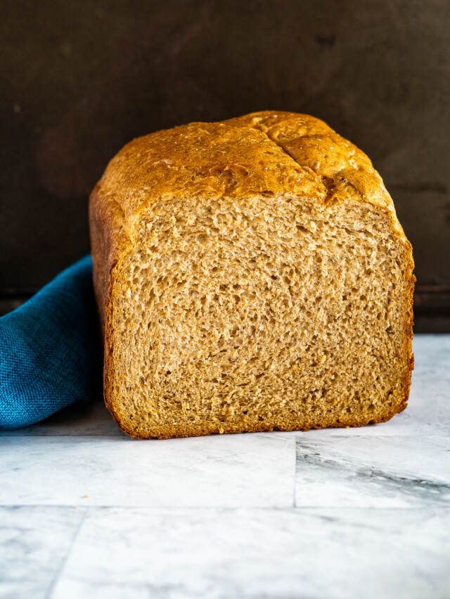 Best Bread Machine Yeast Substitute And How To Use It! crave the good