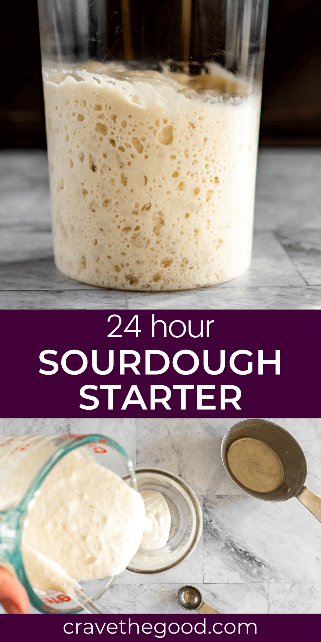 Sourdough Starter With Yeast > Ready In 24 Hours! crave the good