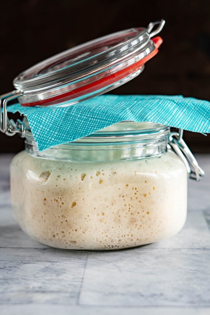Fully risen sourdough starter.