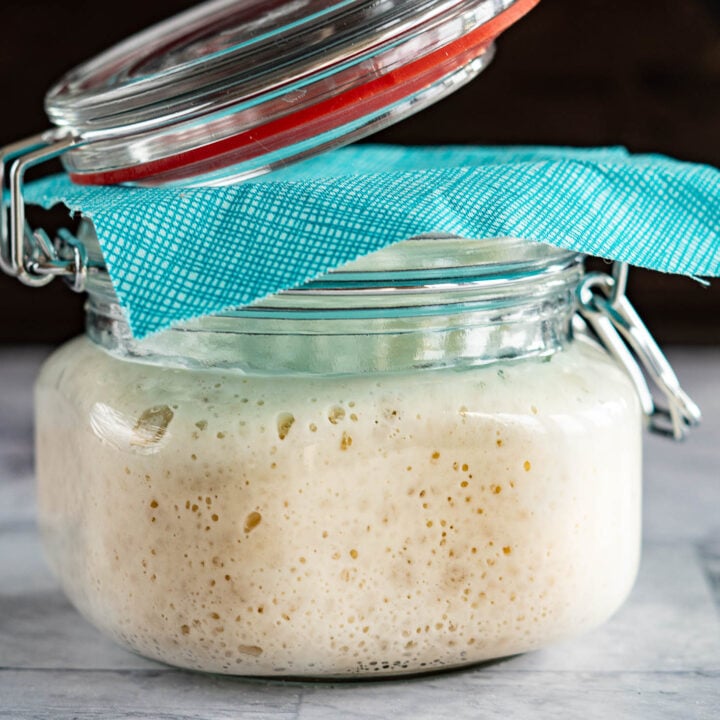 Easy Sourdough Starter With Yeast --> Ready in 24 Hours!-image