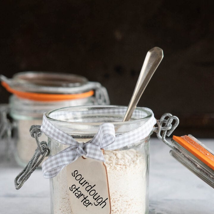 Dehydrated Sourdough Starter-image