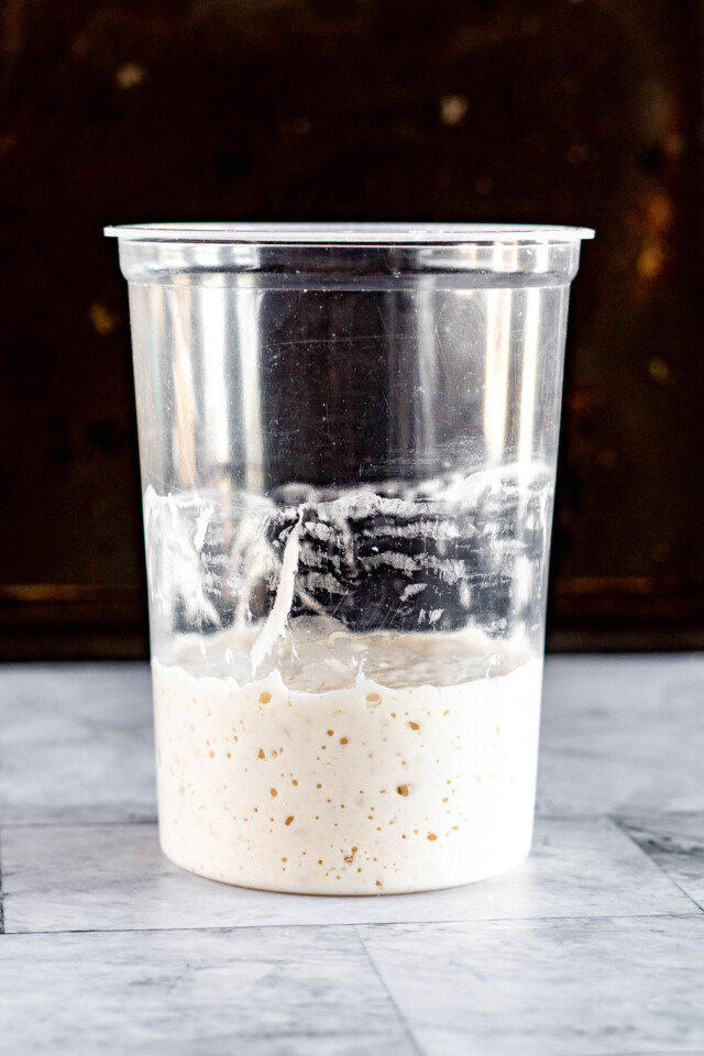 Sourdough Starter With Yeast > Ready In 24 Hours! crave the good