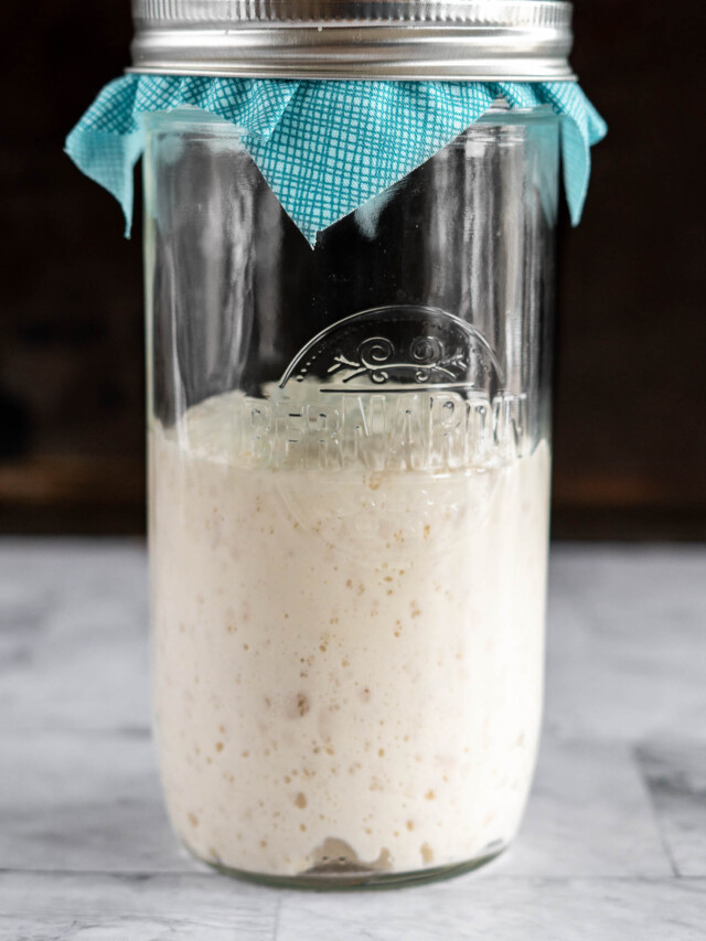 Risen sourdough starter.