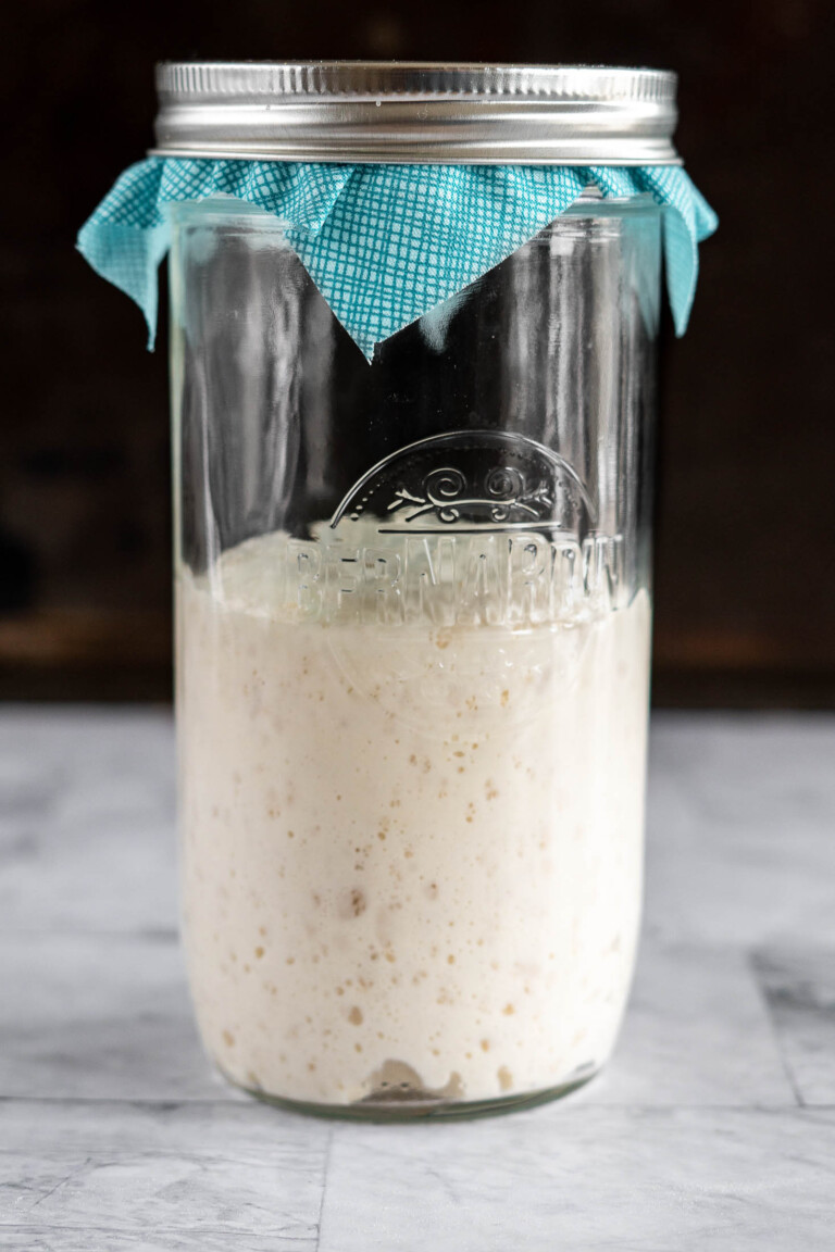 Risen sourdough starter.