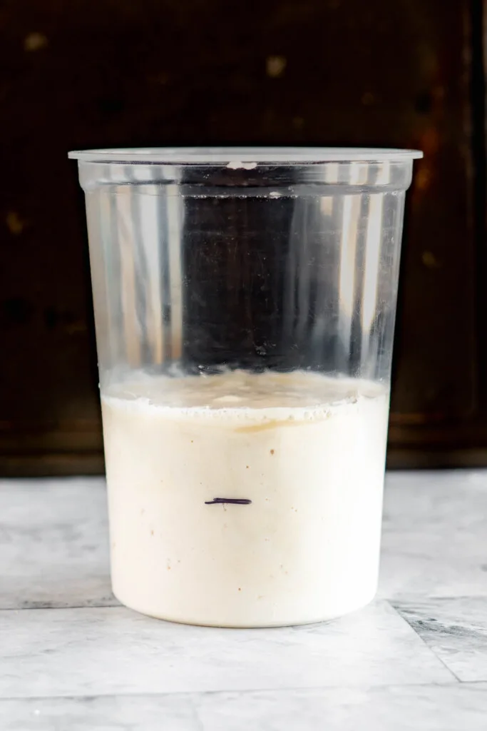 Hooch gathering on the surface of the sourdough starter.