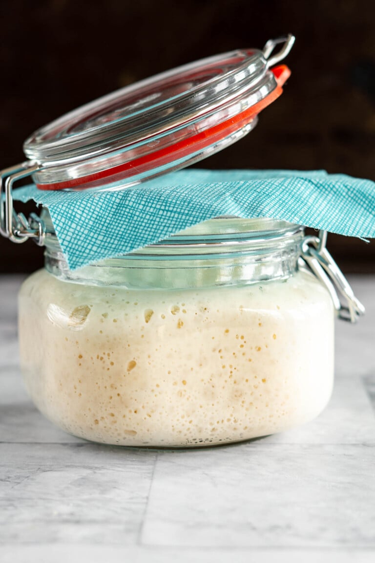 how-to-store-sourdough-starter-4-easy-methods-crave-the-good