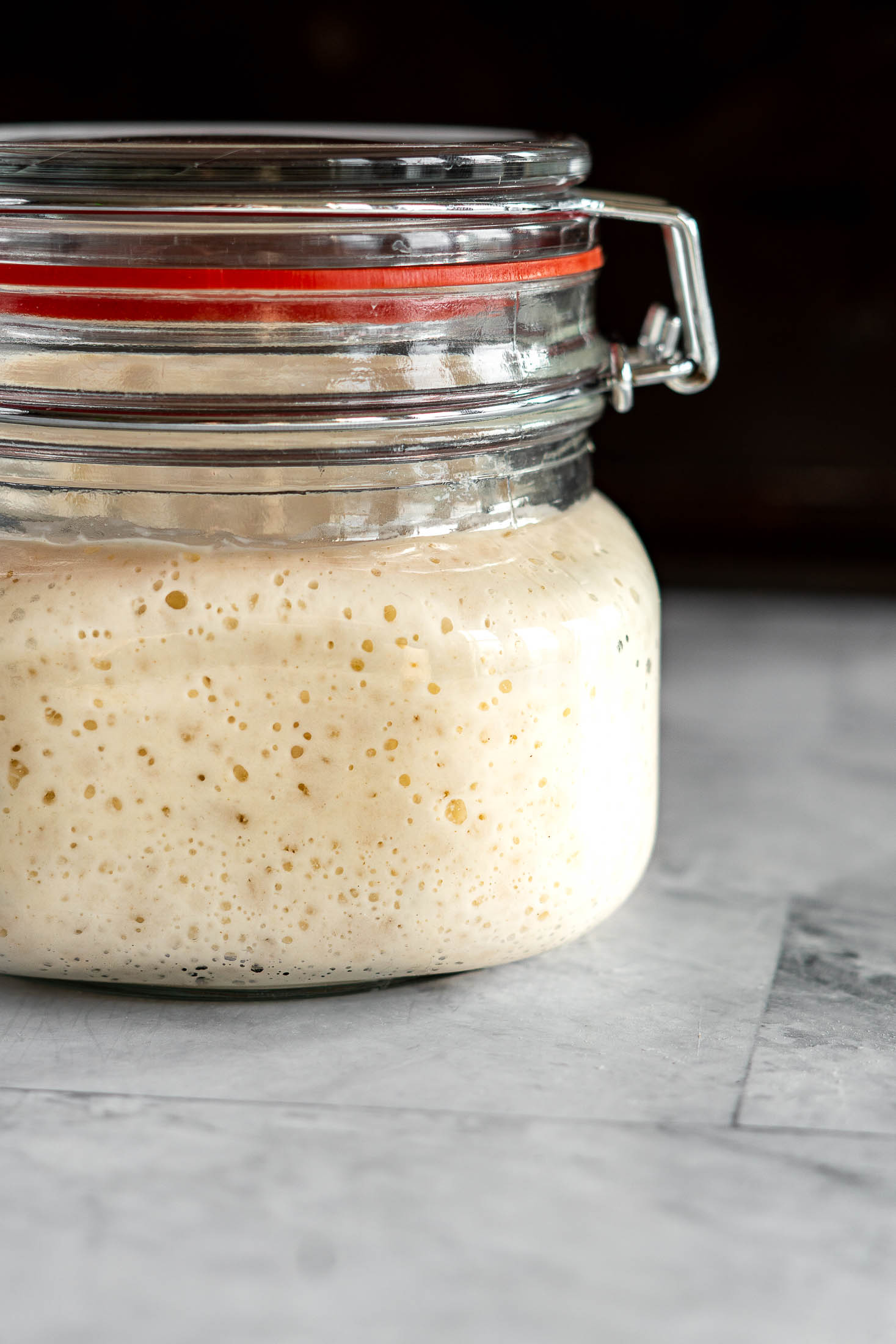 Sourdough Starter With Yeast > Ready In 24 Hours! crave the good