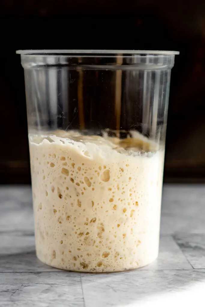 Sourdough starter full of bubbles and air pockets after feeding.