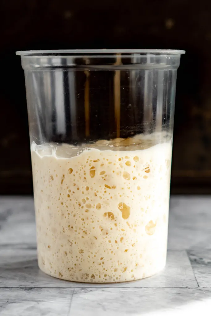 Bubbly sourdough starter in a plastic container.