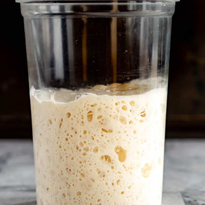 How To: Revive Sourdough Starter-image