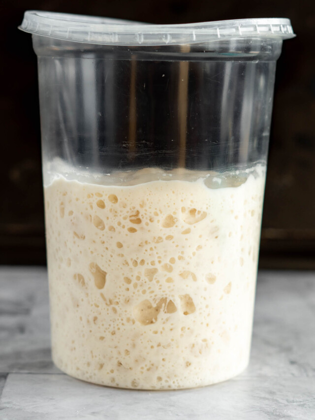 Sourdough starter in a plastic container.