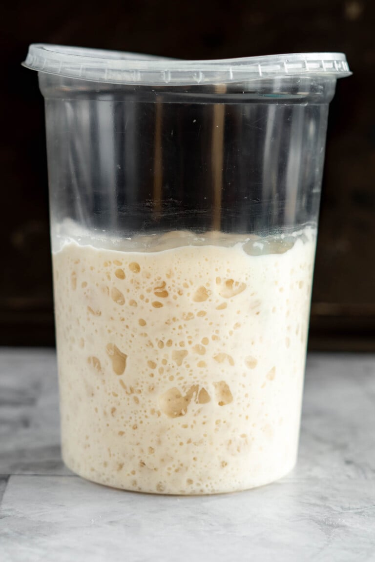 Sourdough starter in a plastic container.
