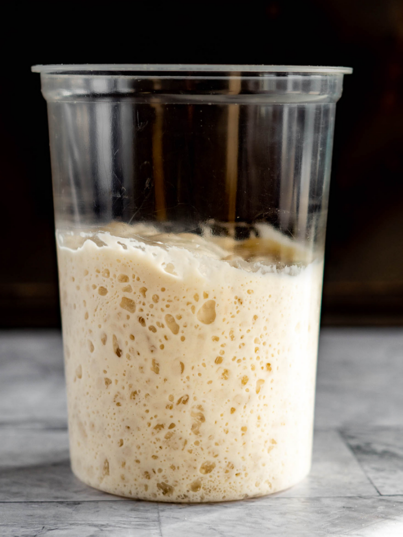 How To Store Sourdough Starter { 4 Easy Methods } Crave The Good