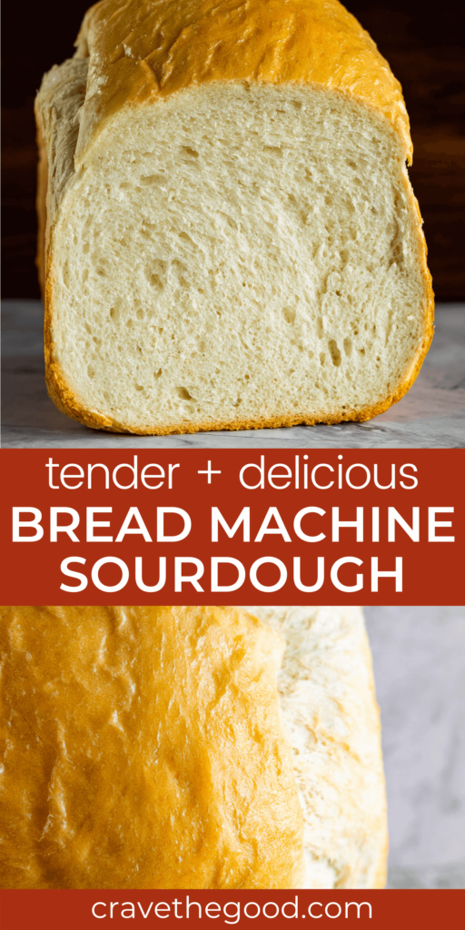 Bread maker sourdough bread pinterest graphic.