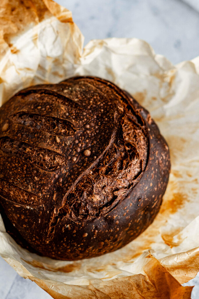 Fresh loaf of chocolate sourdough bread.