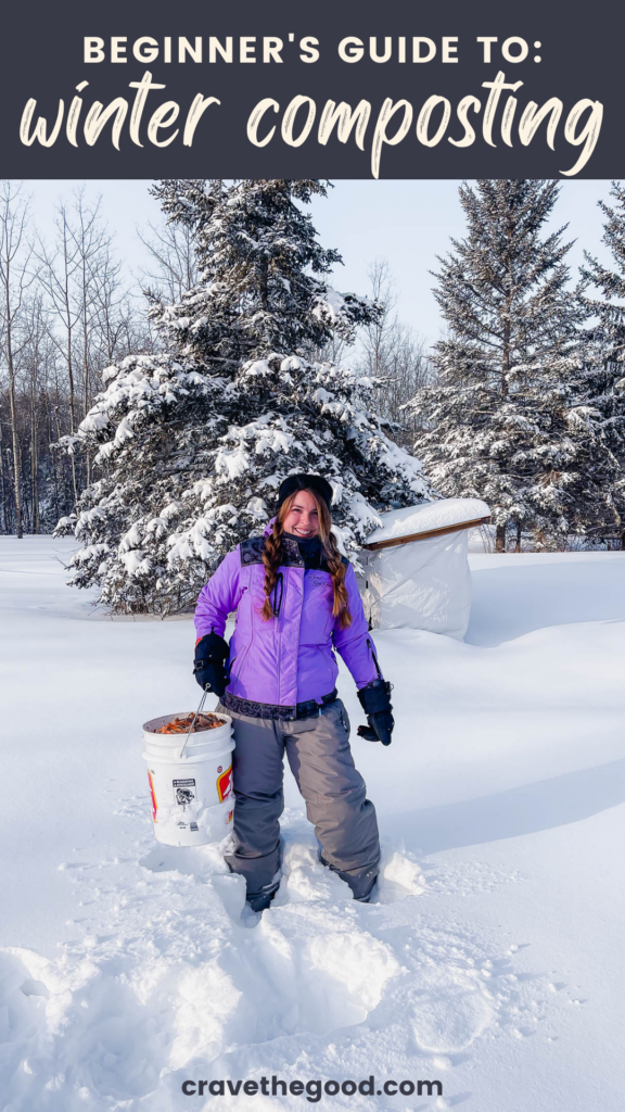 Beginner's guide to winter composting pinterest graphic.