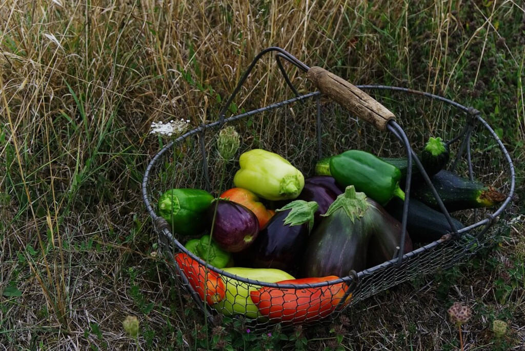 A basket of vegetables.
