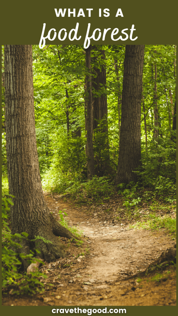 What is a food forest pinterest graphic.