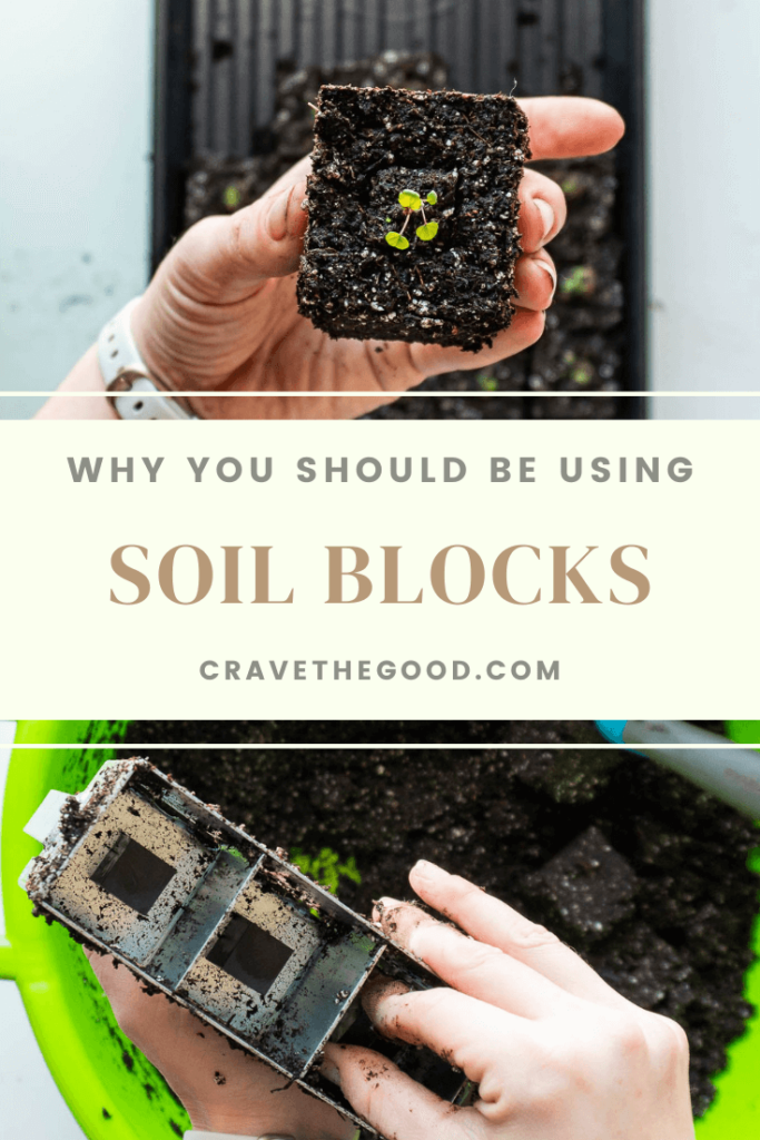 Why you should be using soil blocks pinterest image.