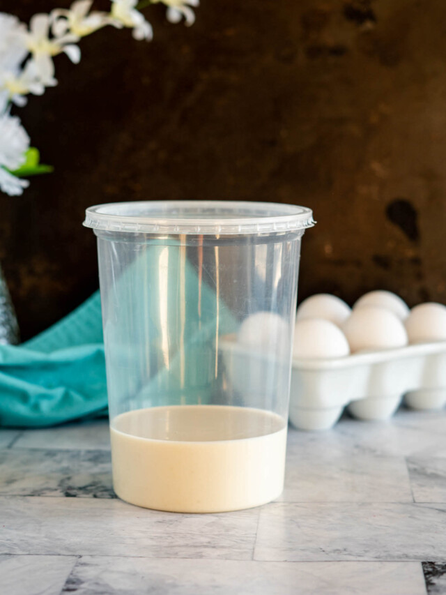 Sourdough discard in a plastic container.