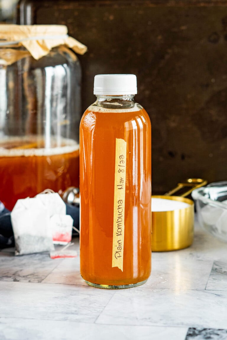 Plain brewed kombucha in a bottle.