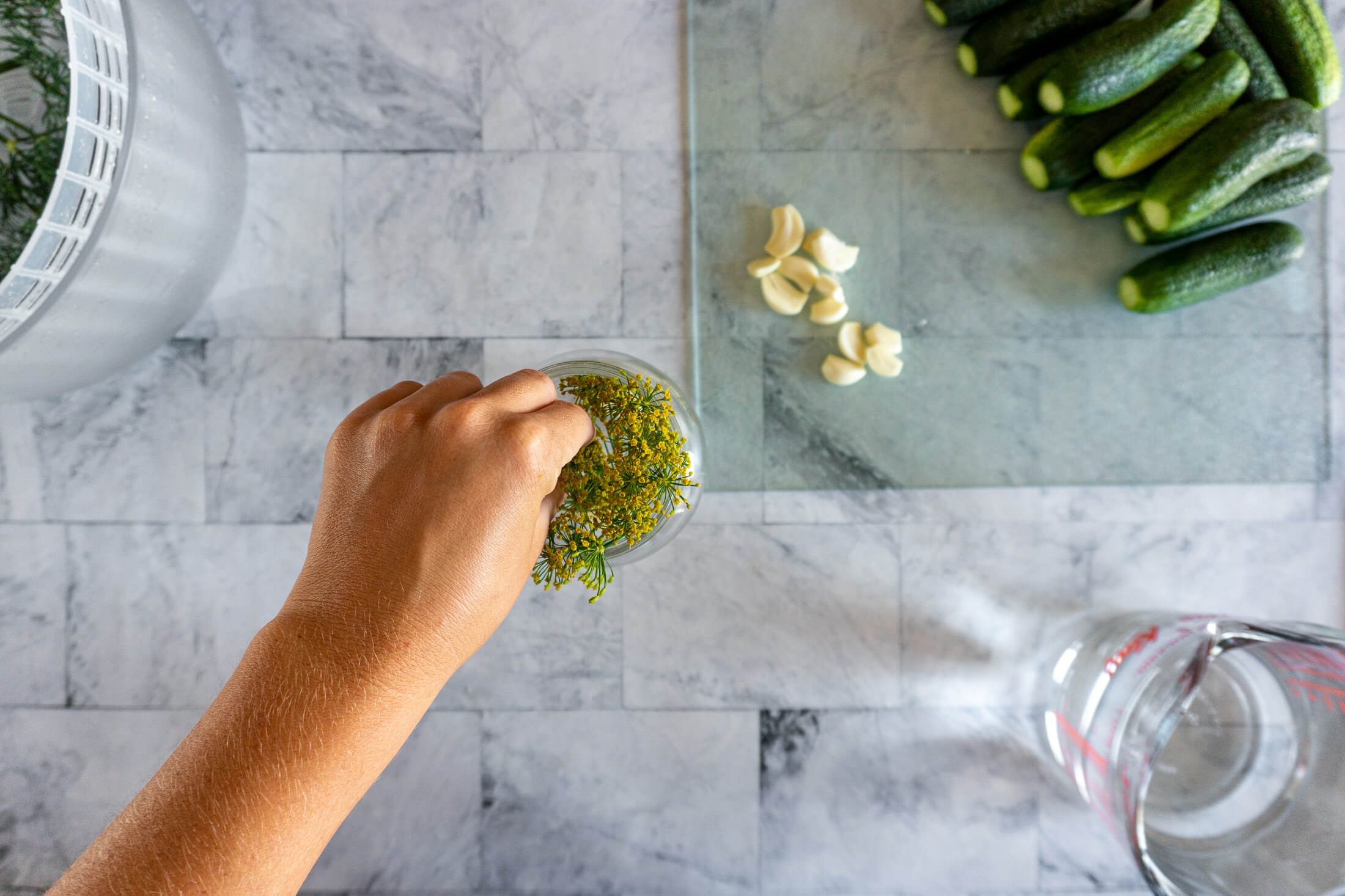 Packing a fresh dill flower into a clean mason jar. 