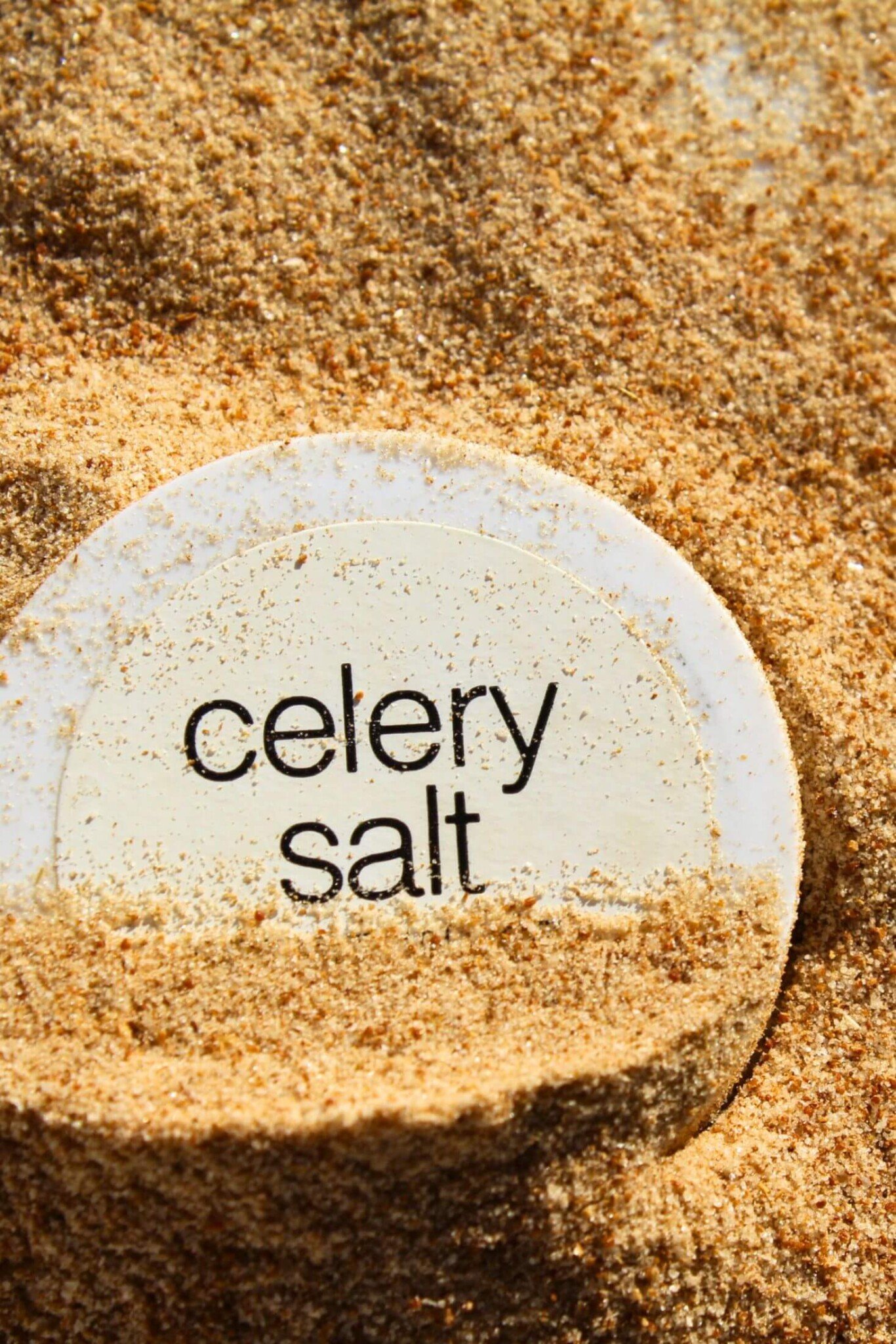 10 Celery Salt Substitutes + 2 DIY Recipes Crave The Good