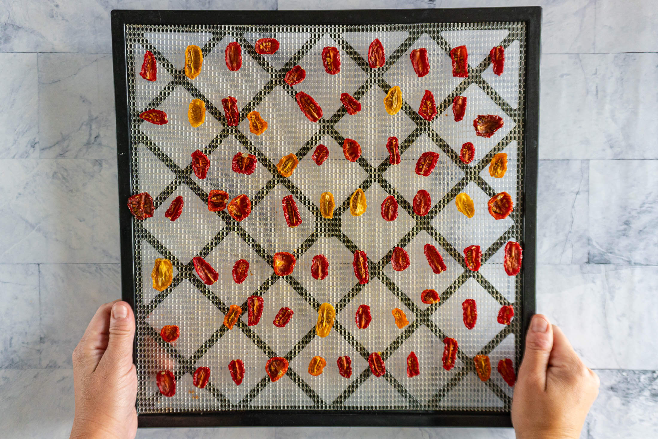 Dried cherry tomatoes on dehydrator tray.
