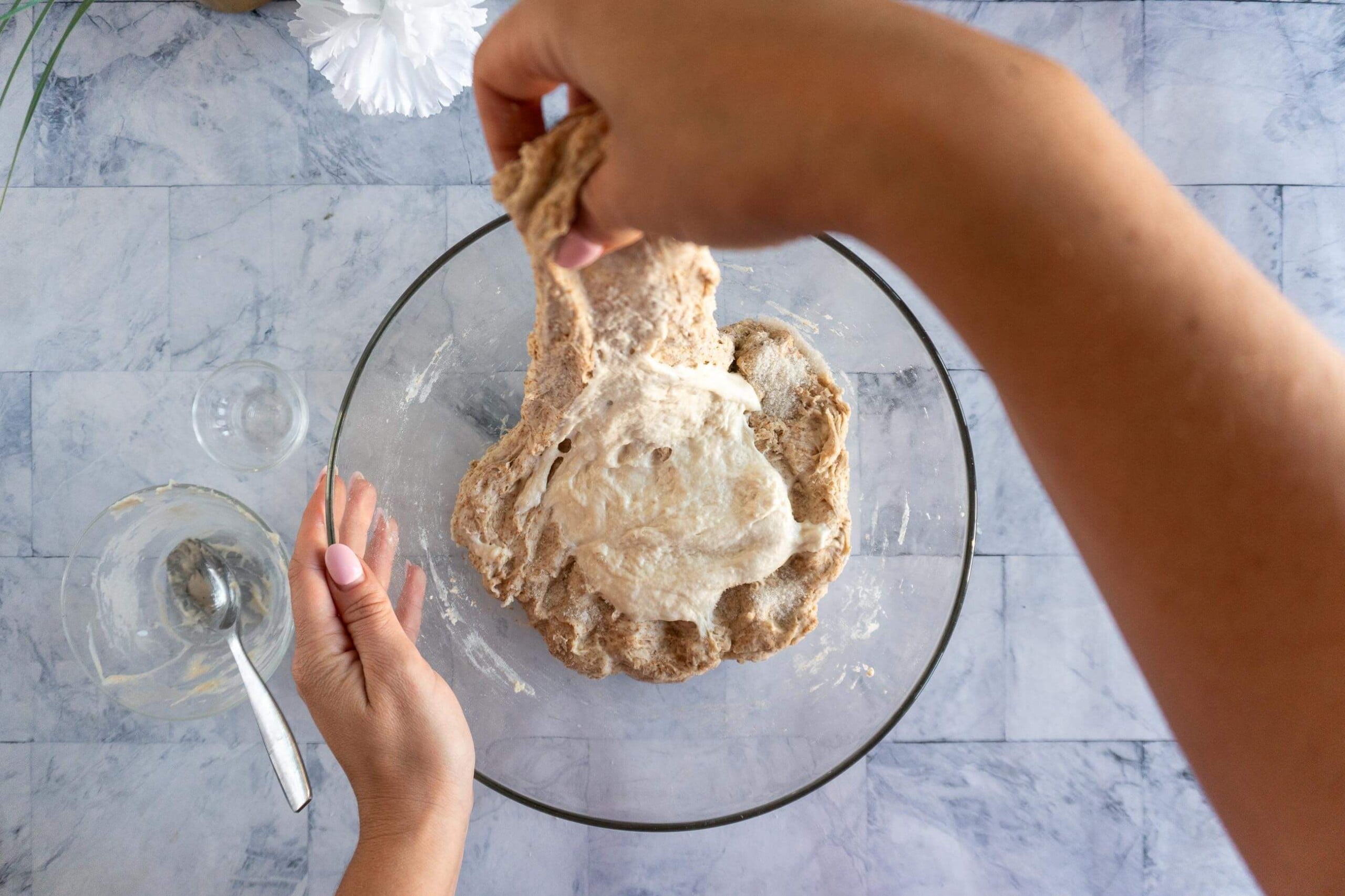 Stretching whole wheat sourdough dough to incorporate the starter.