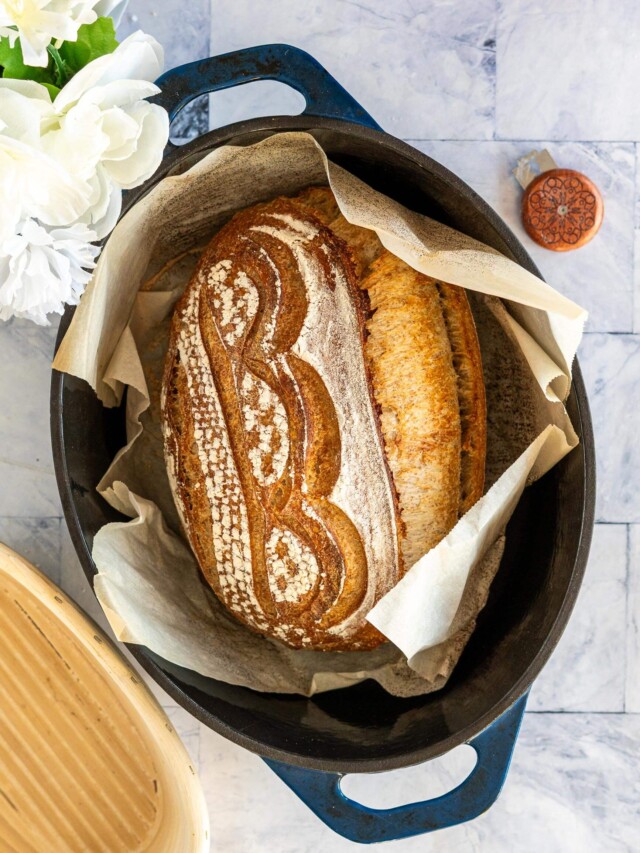Whole wheat sourdough bread in a blue cast iron dutch oven.
