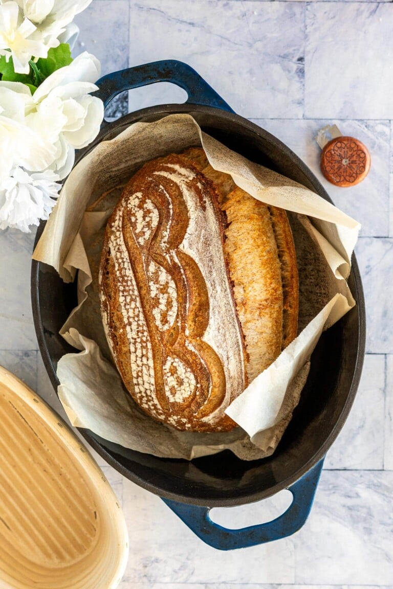 Whole wheat sourdough bread in a blue cast iron dutch oven.