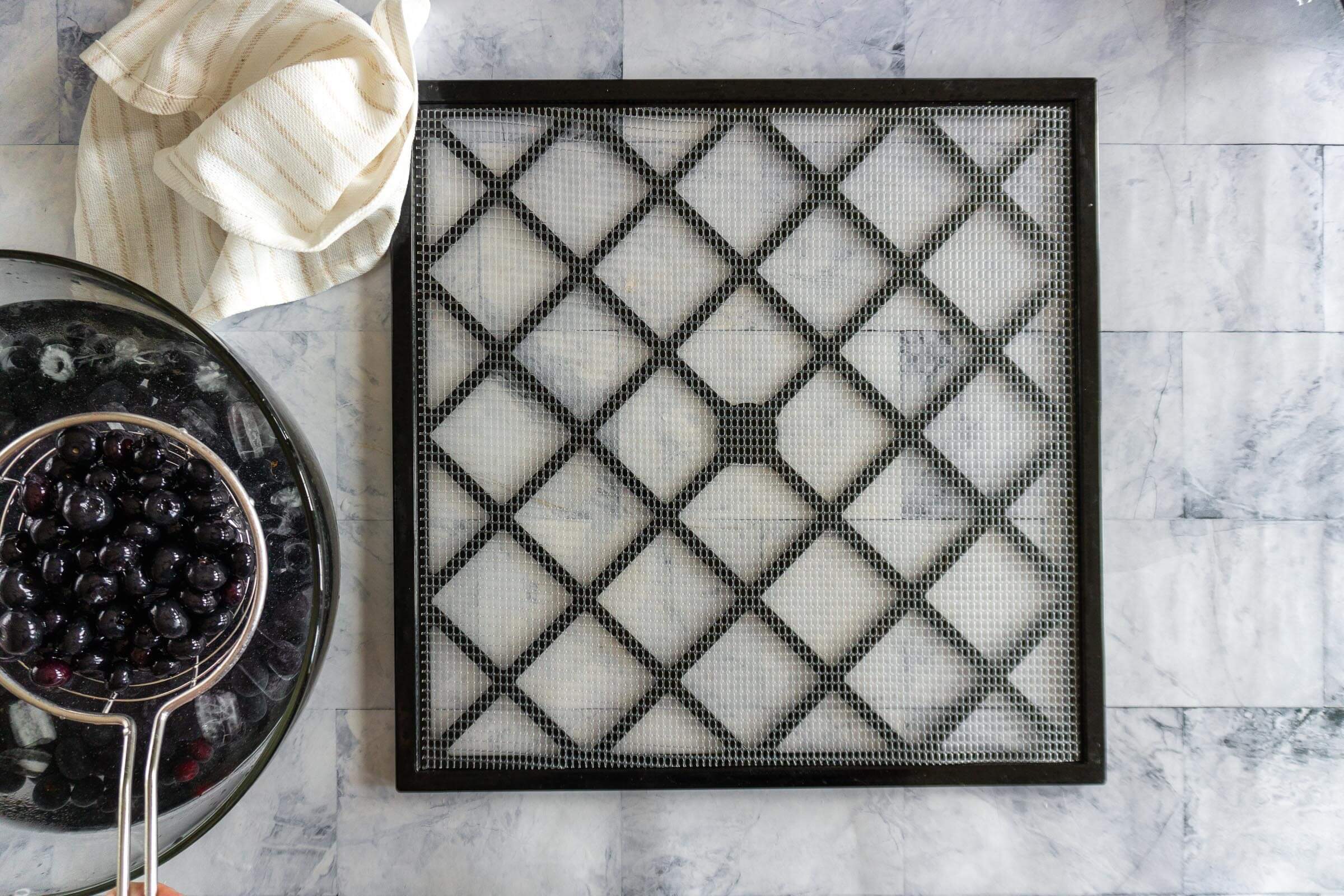 Prepared blueberries in a bowl of ice water before dehydrating. 