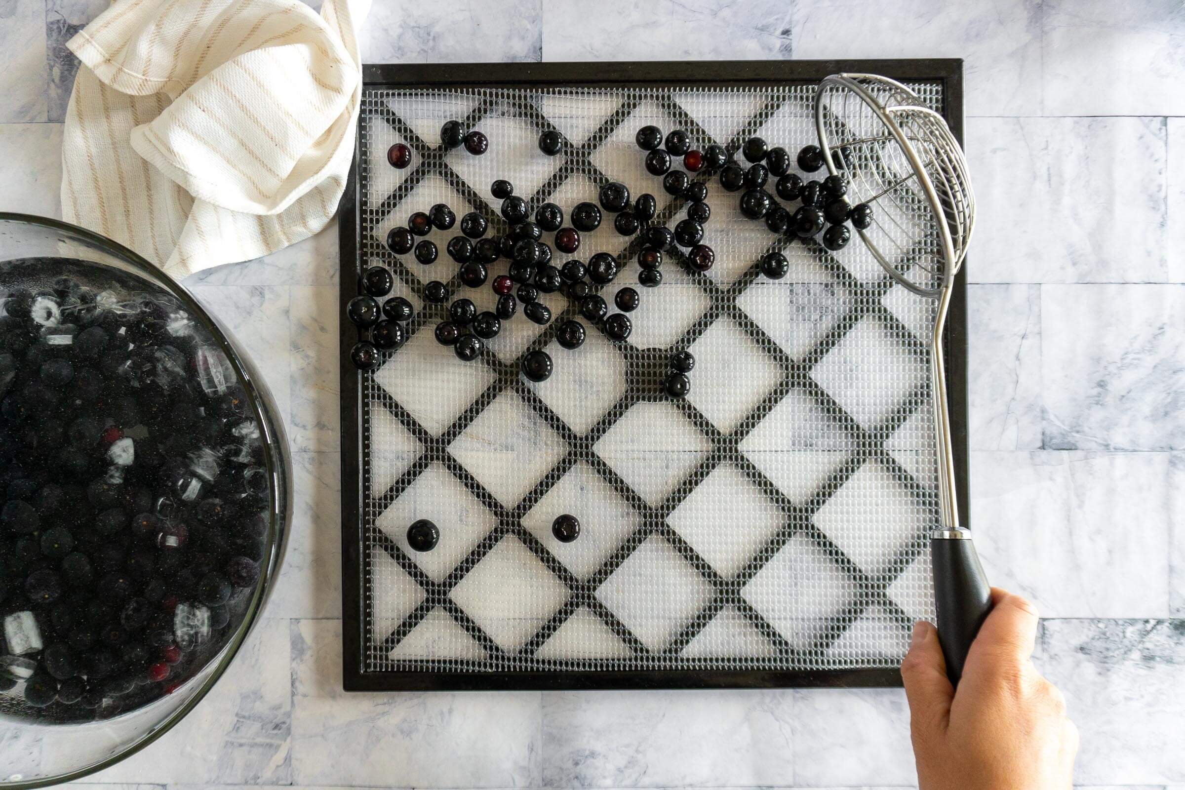 Scooping checked berries from the ice bath and spreading on dehydrator tray.