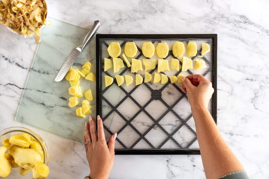Adding sliced ginger to a dehydrator tray.
