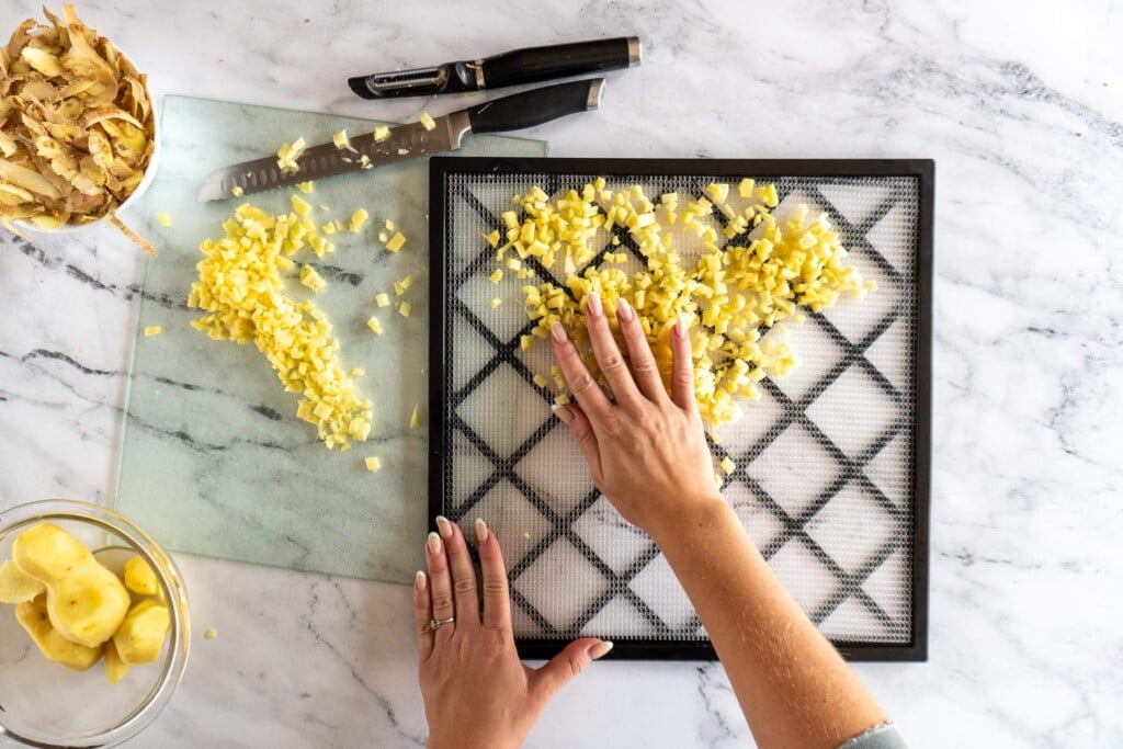 Spreading minced ginger on a dehydrator tray.