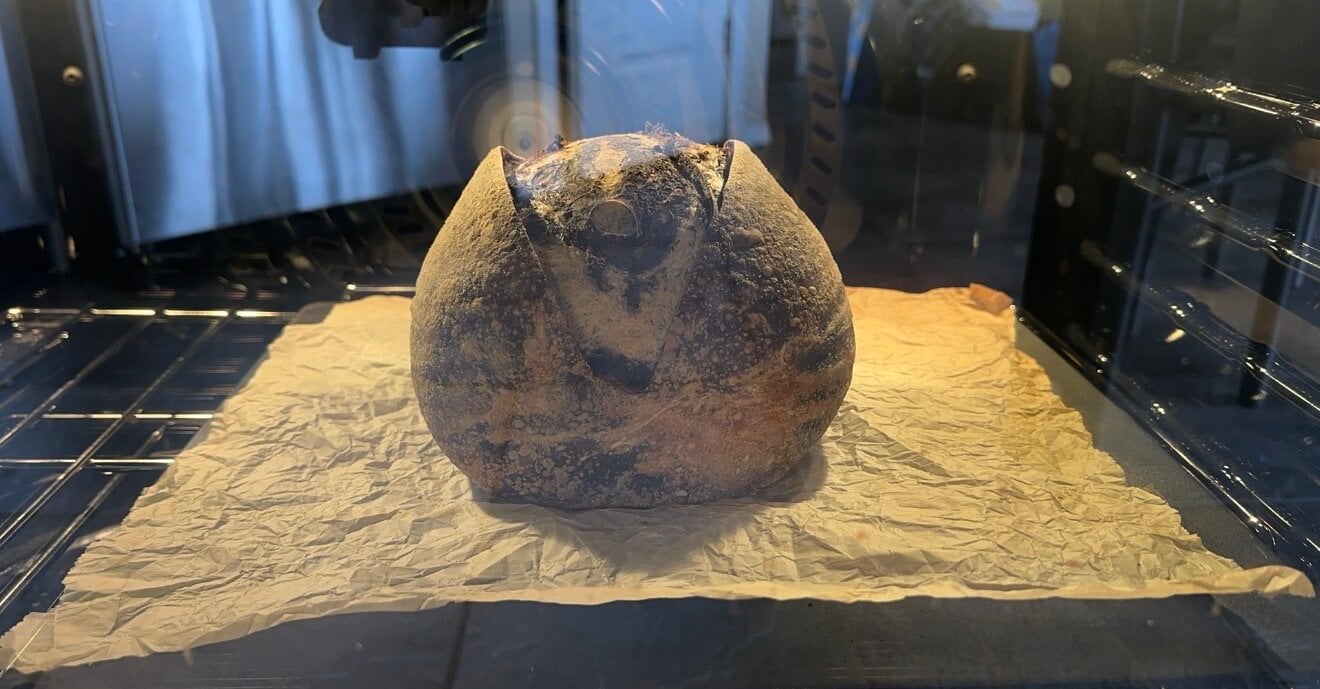 Open baking a loaf of chocolate swirl sourdough.