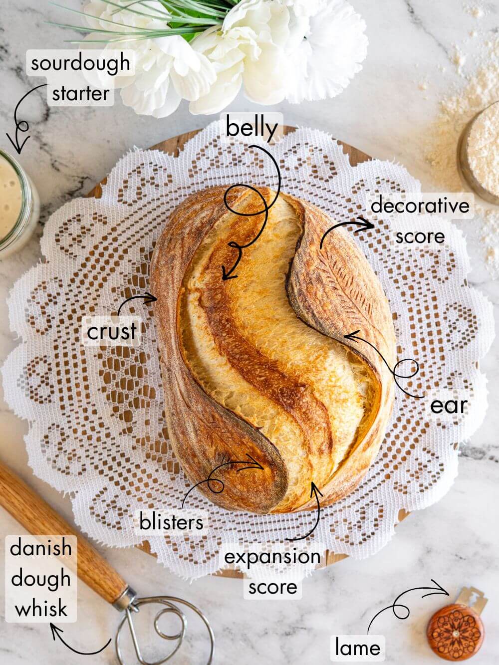 Photo of sourdough bread labeled; belly, decorative score, expansion score, ear, etc. 