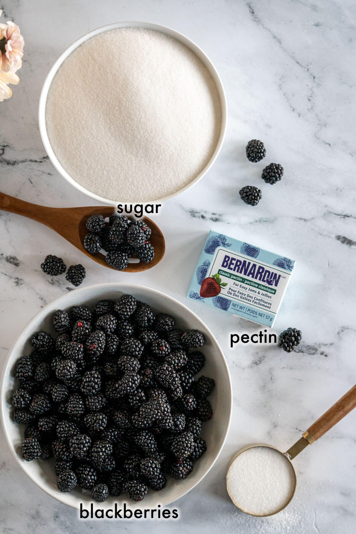 Blackberries, sugar, and pectin crystals in bowls.