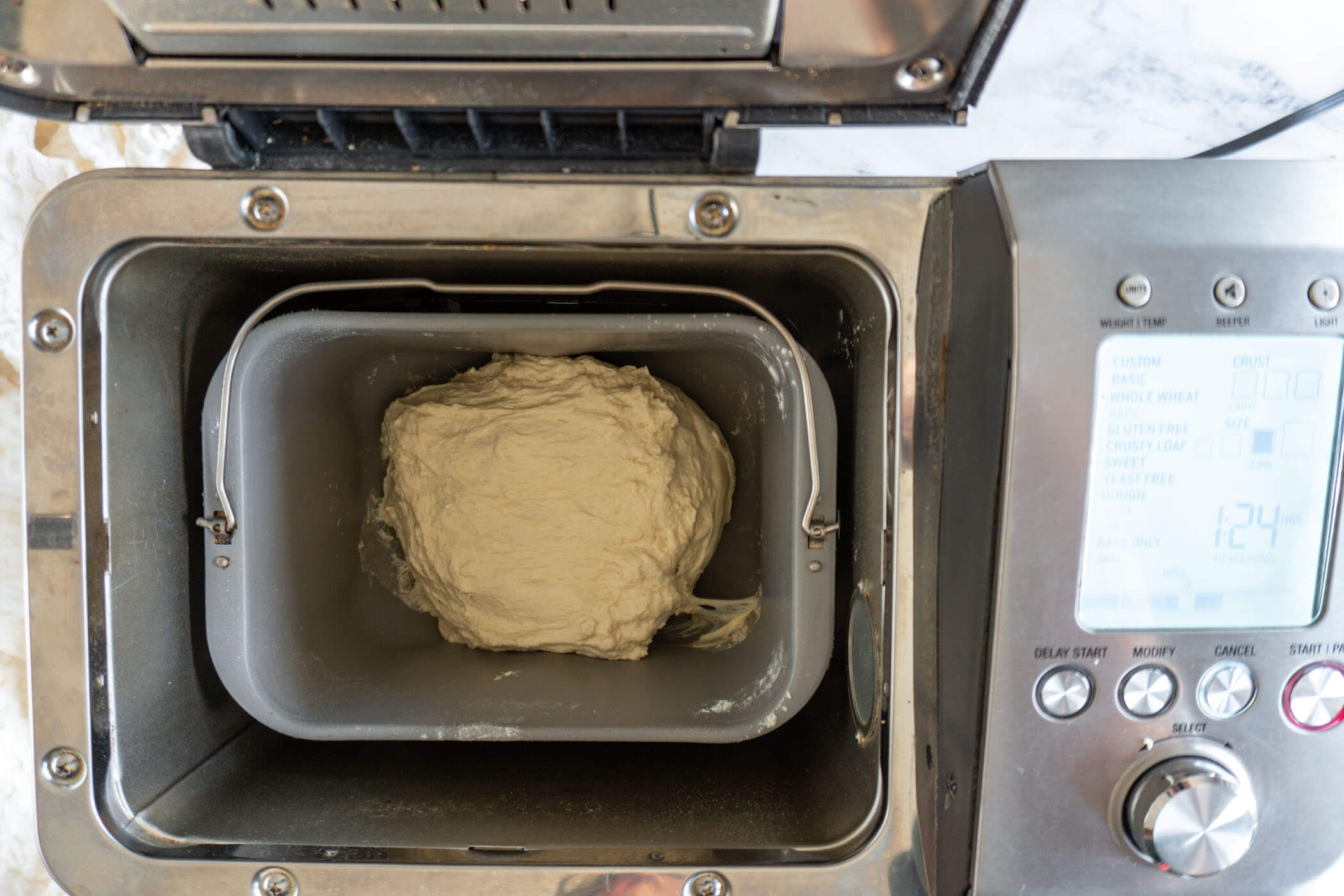 Sourdough dough in the bread pan after the final punch down, about 1.5 hours into the cycle. 