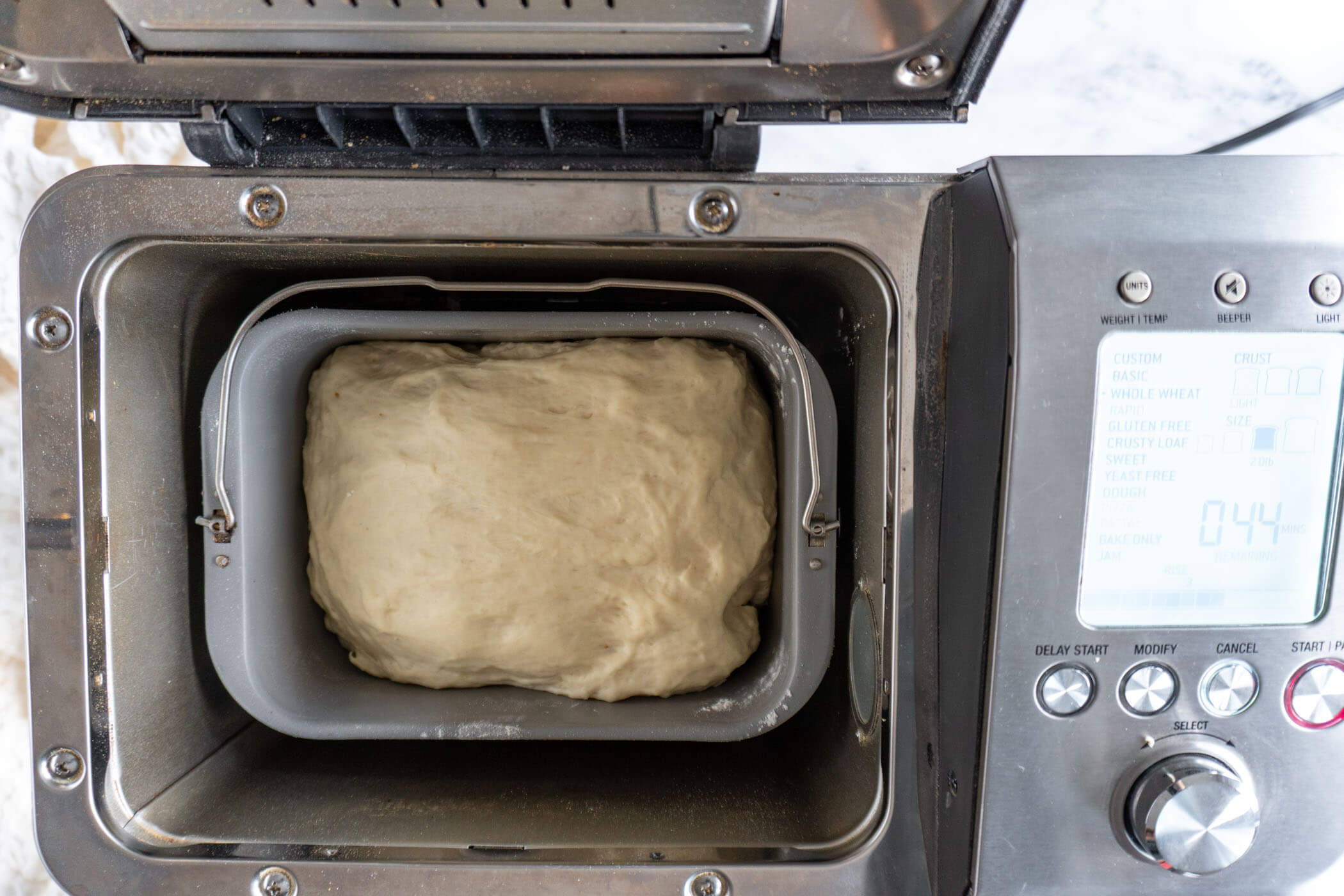 Fully proofed sourdough with air bubbles beneath the surface, about 2 hours 15 mins into the cycle. 